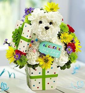 Party Pooch – 212 Floral, New York NY