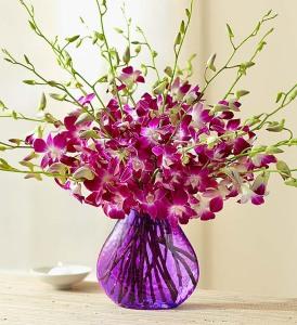 Exotic Breeze – 212 Floral, New York NY