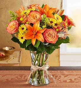 Fields of Europe fall – 212 Floral, New York NY