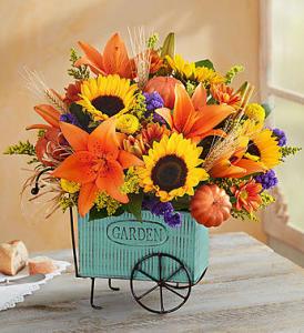 Harvest Garden Cart – 212 Floral, New York NY