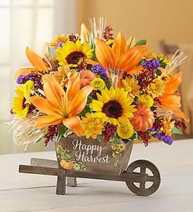 Happy Harvest Wheelbarrow – 212 Floral, New York NY