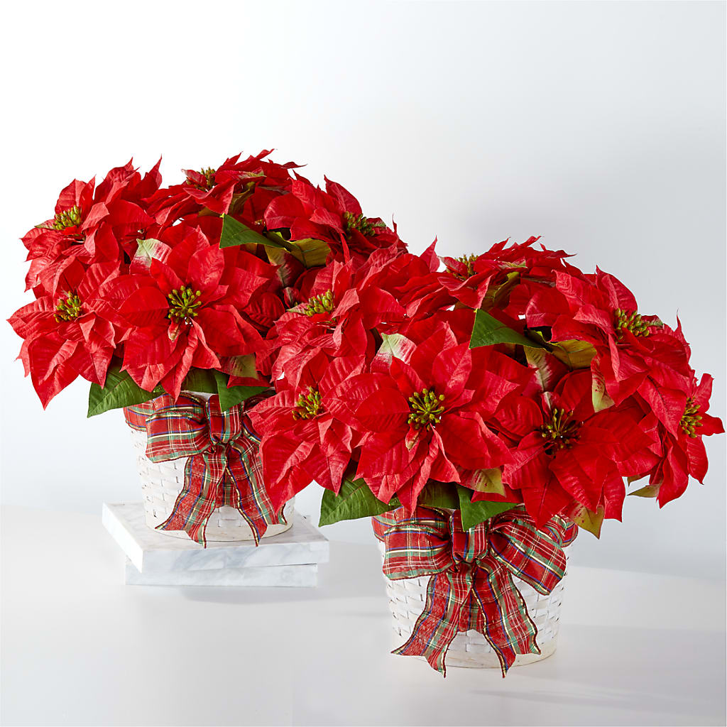 Happiest Holidays Poinsettia Bundle – 212 Floral, New York NY