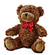 Adorable Plush Bear – 212 Floral, New York NY