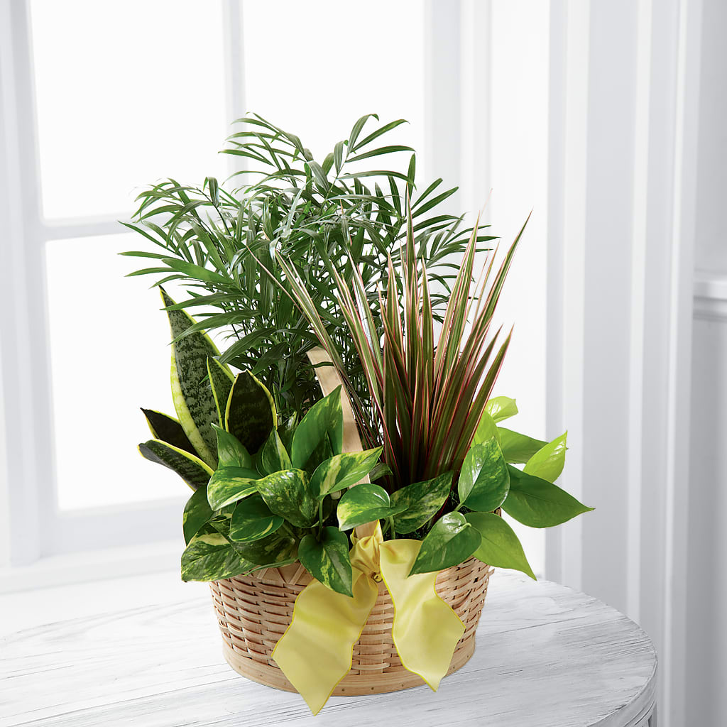 French Garden – 212 Floral, New York NY