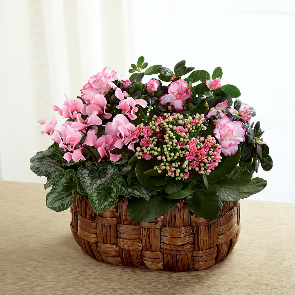 Pink Assortment – 212 Floral, New York NY