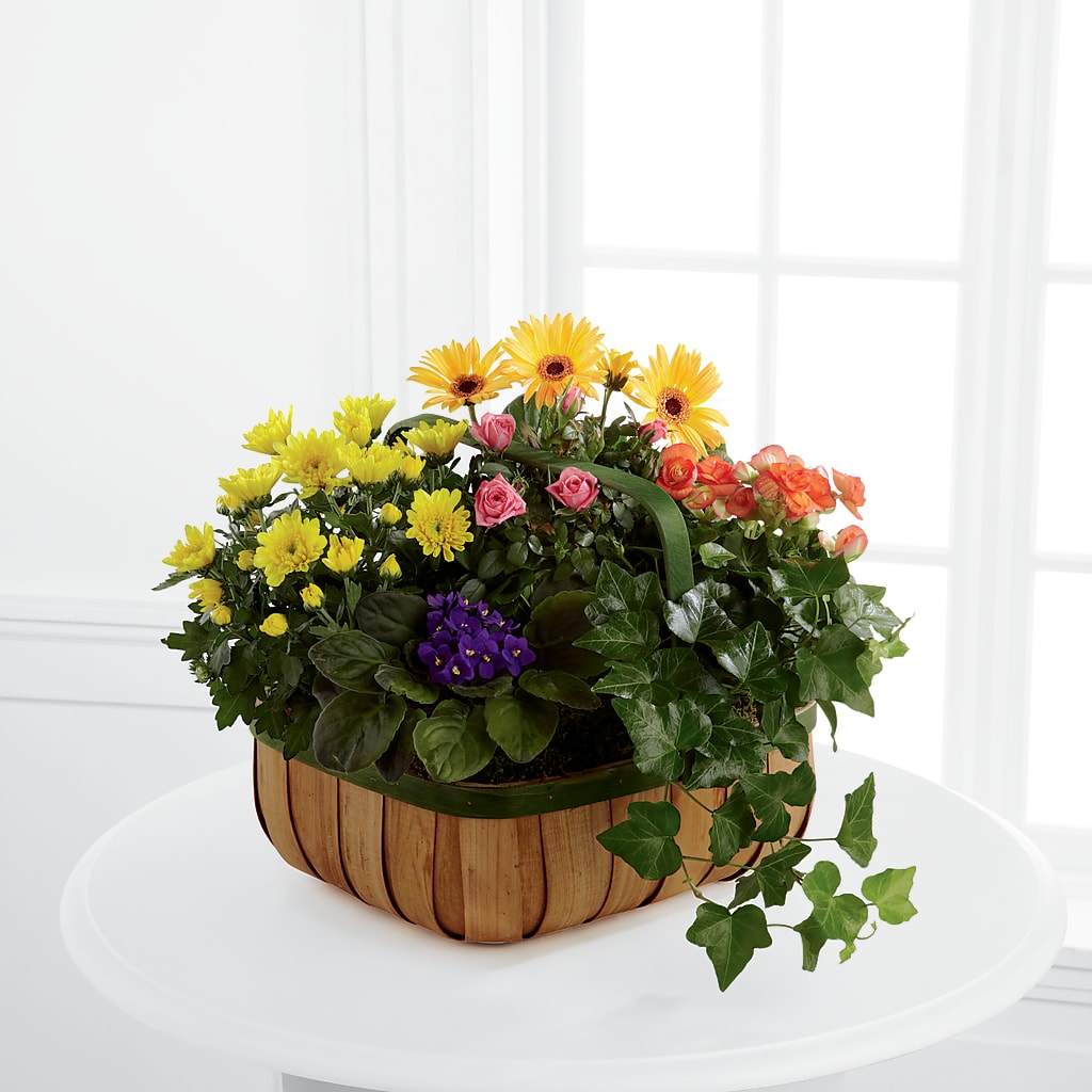 Gentle Blossoms Basket – 212 Floral, New York NY