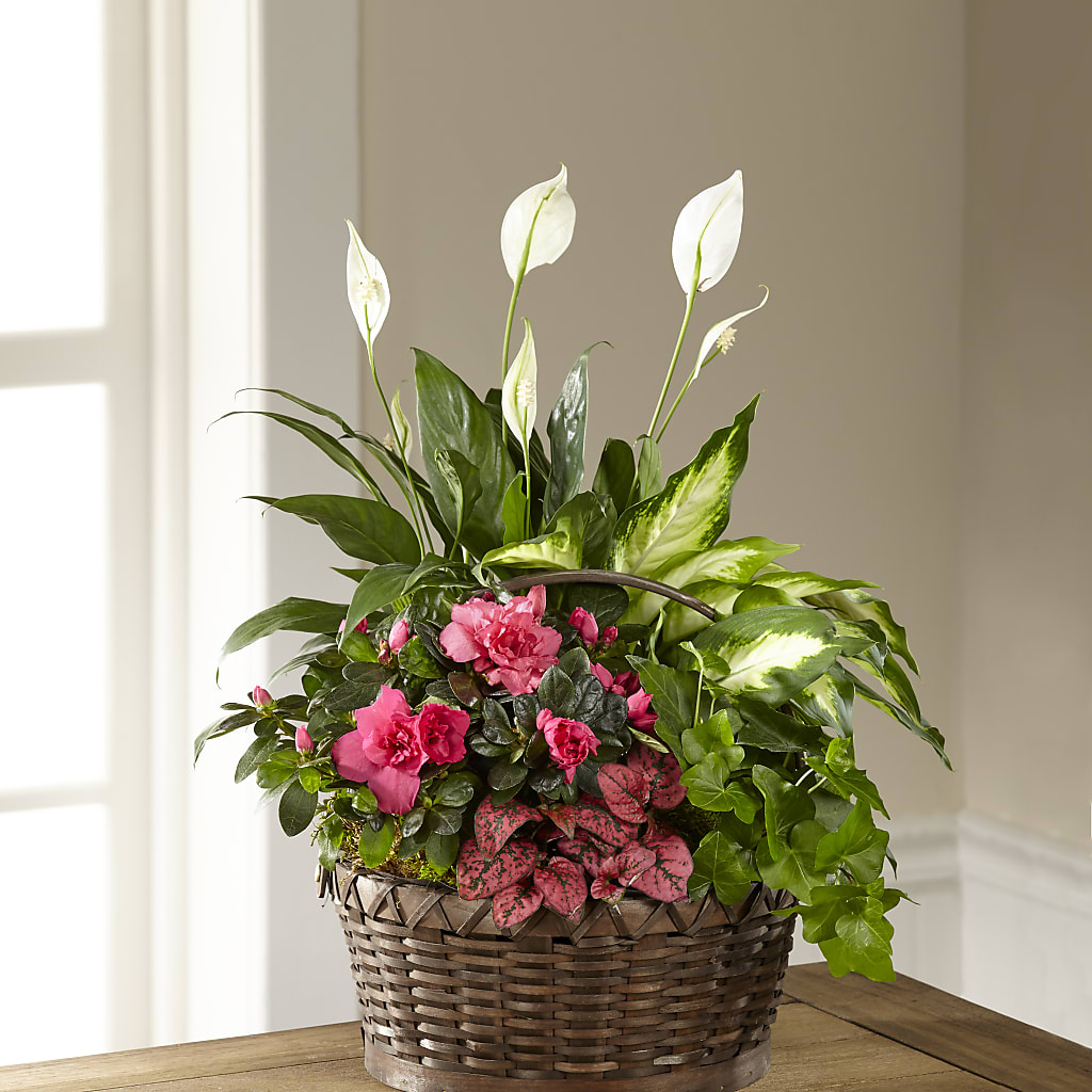 Dream in Pink Dishgarden – 212 Floral, New York NY