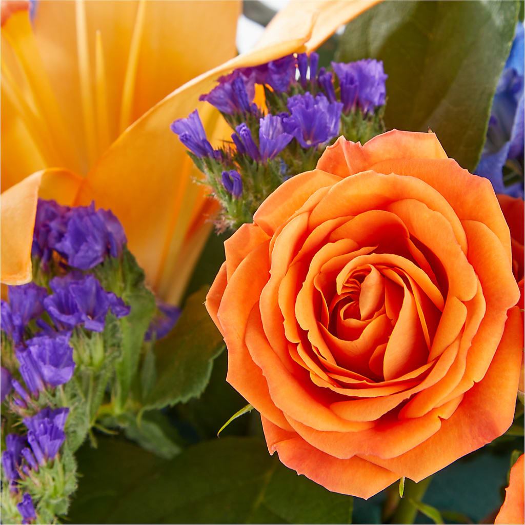 Radiant Citrus Box Bouquet – 212 Floral, New York NY
