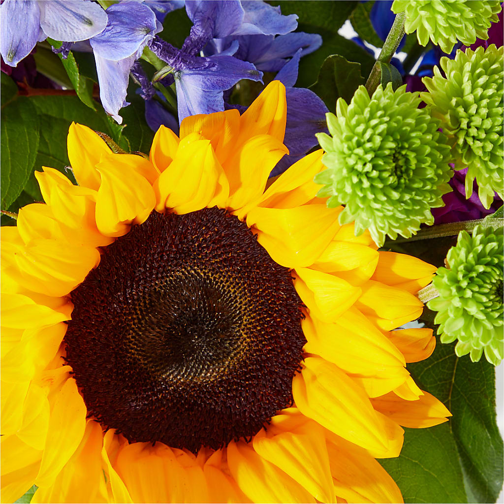 Catching Rays Bouquet – 212 Floral, New York NY