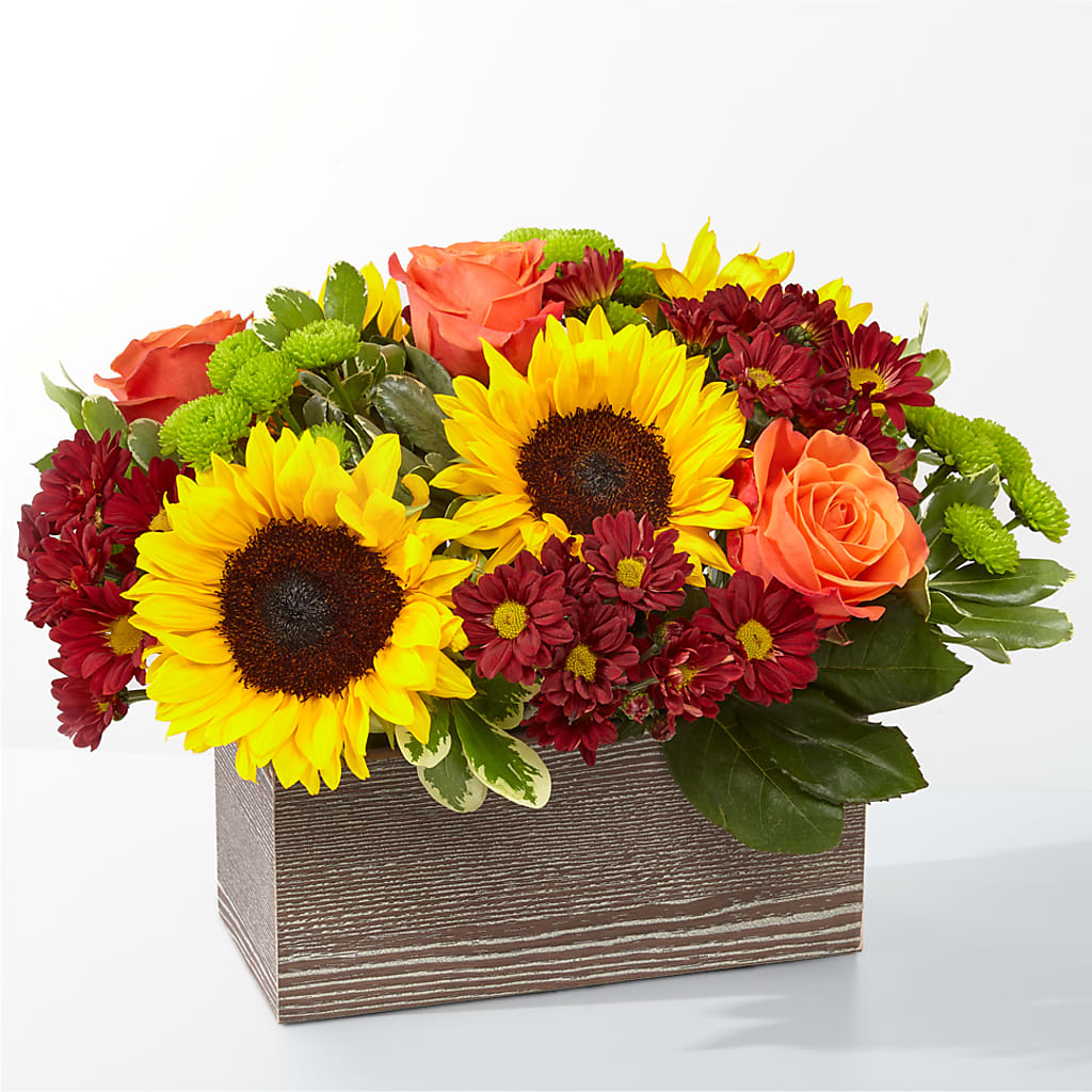 Happy Harvest Garden – 212 Floral, New York NY
