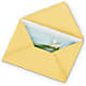 Greeting Card – 212 Floral, New York NY