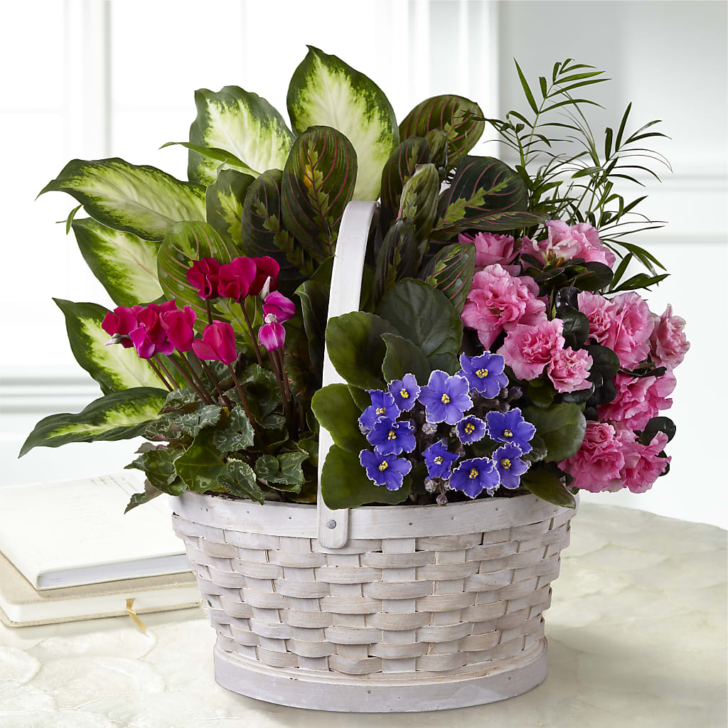 Peaceful Garden Planter – 212 Floral, New York NY