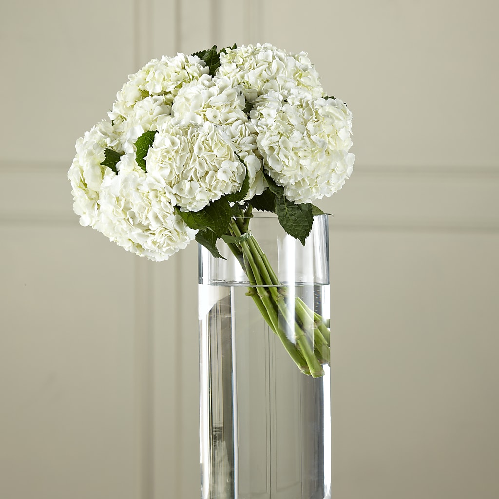 White Hydrangea Hand-Tied Bouquet – 212 Floral, New York NY