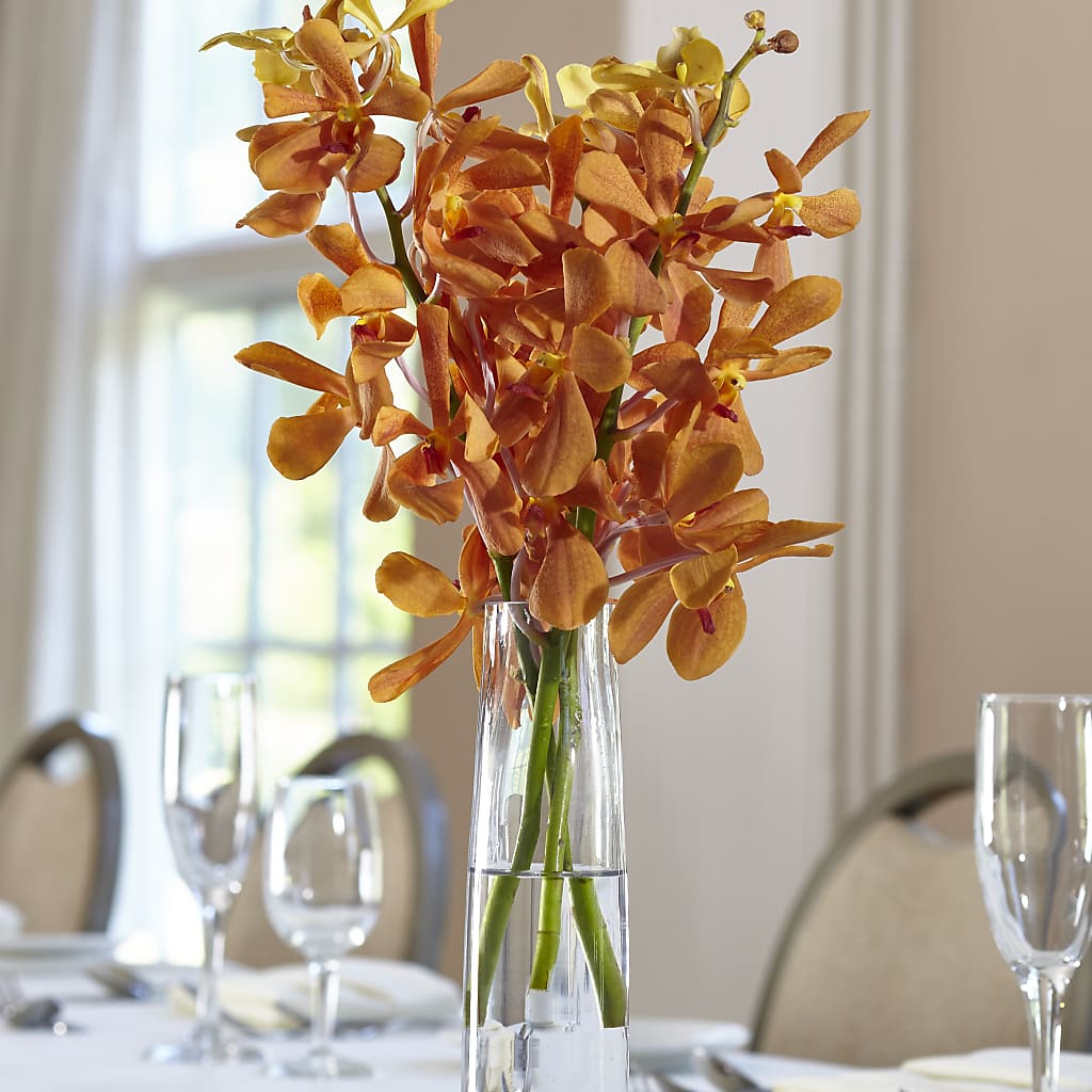 Orange Mokara Bud Vase – 212 Floral, New York NY