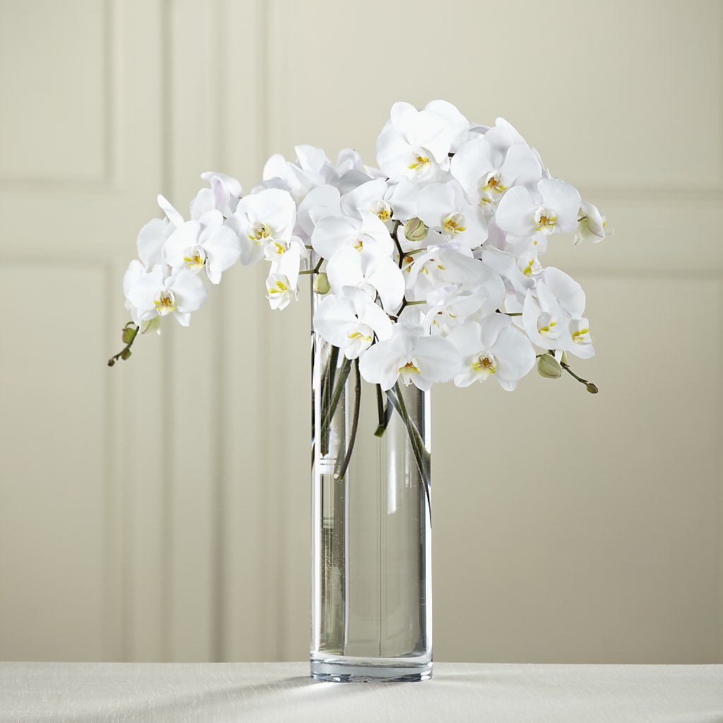 White Phalaenopsis Bouquet – 212 Floral, New York NY