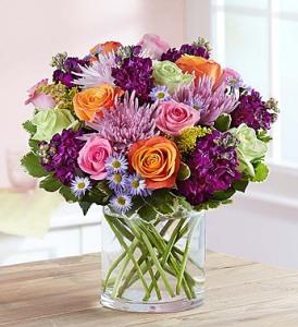 Beauty in Abundance