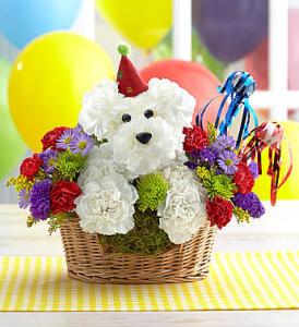 Another Year Rover –  212 Floral, New York NY