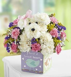 It&rsquo;s a-DOG-able Girl –  212 Floral, New York NY
