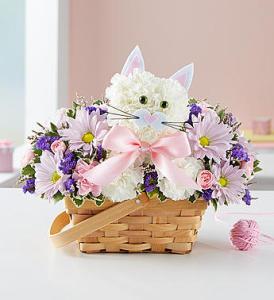 Fabulous Feline Boy or Girl –  212 Floral, New York NY