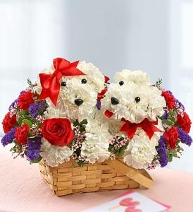 Lucky in Love –  212 Floral, New York NY