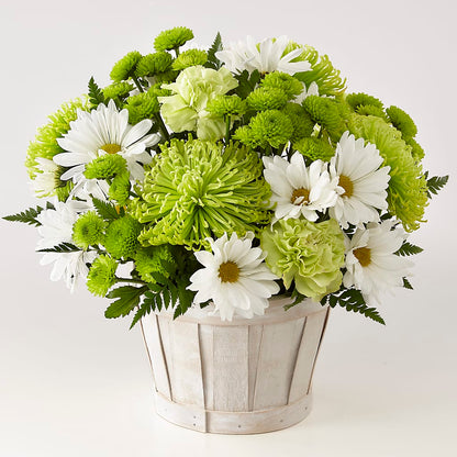 Lucky Charm Basket (Standard) –  212 Floral, New York NY