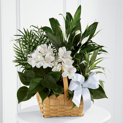 Peace & Serenity Dishgarden –  212 Floral, New York NY