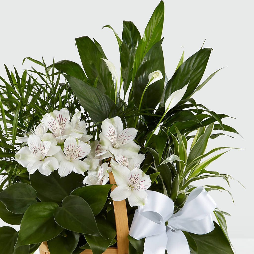 Peace & Serenity Dishgarden –  212 Floral, New York NY