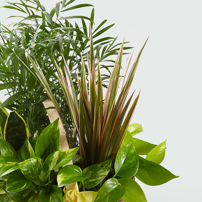 French Garden –  212 Floral, New York NY