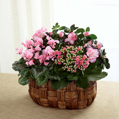 Pink Assortment –  212 Floral, New York NY