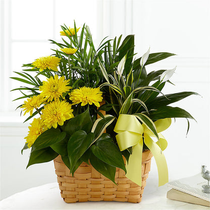 Loving Light Dishgarden –  212 Floral, New York NY