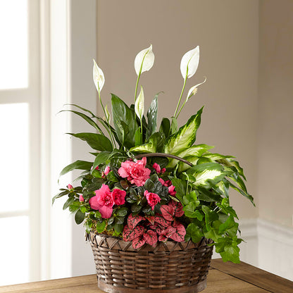 Dream in Pink Dishgarden –  212 Floral, New York NY