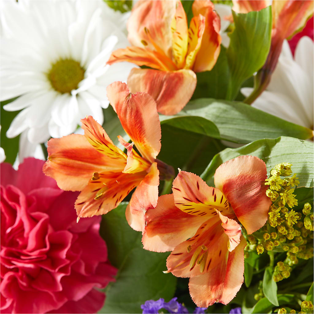 Oopsie Daisy Box Bouquet –  212 Floral, New York NY