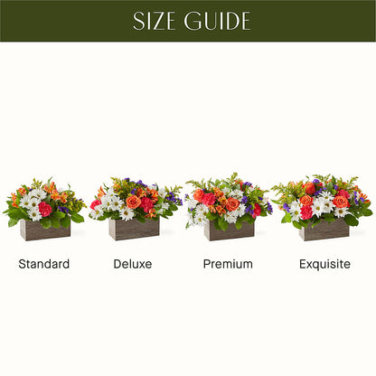 Oopsie Daisy Box Bouquet –  212 Floral, New York NY
