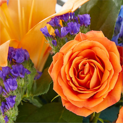Radiant Citrus Box Bouquet –  212 Floral, New York NY