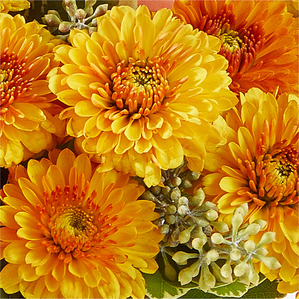 Peachy Pumpkin –  212 Floral, New York NY