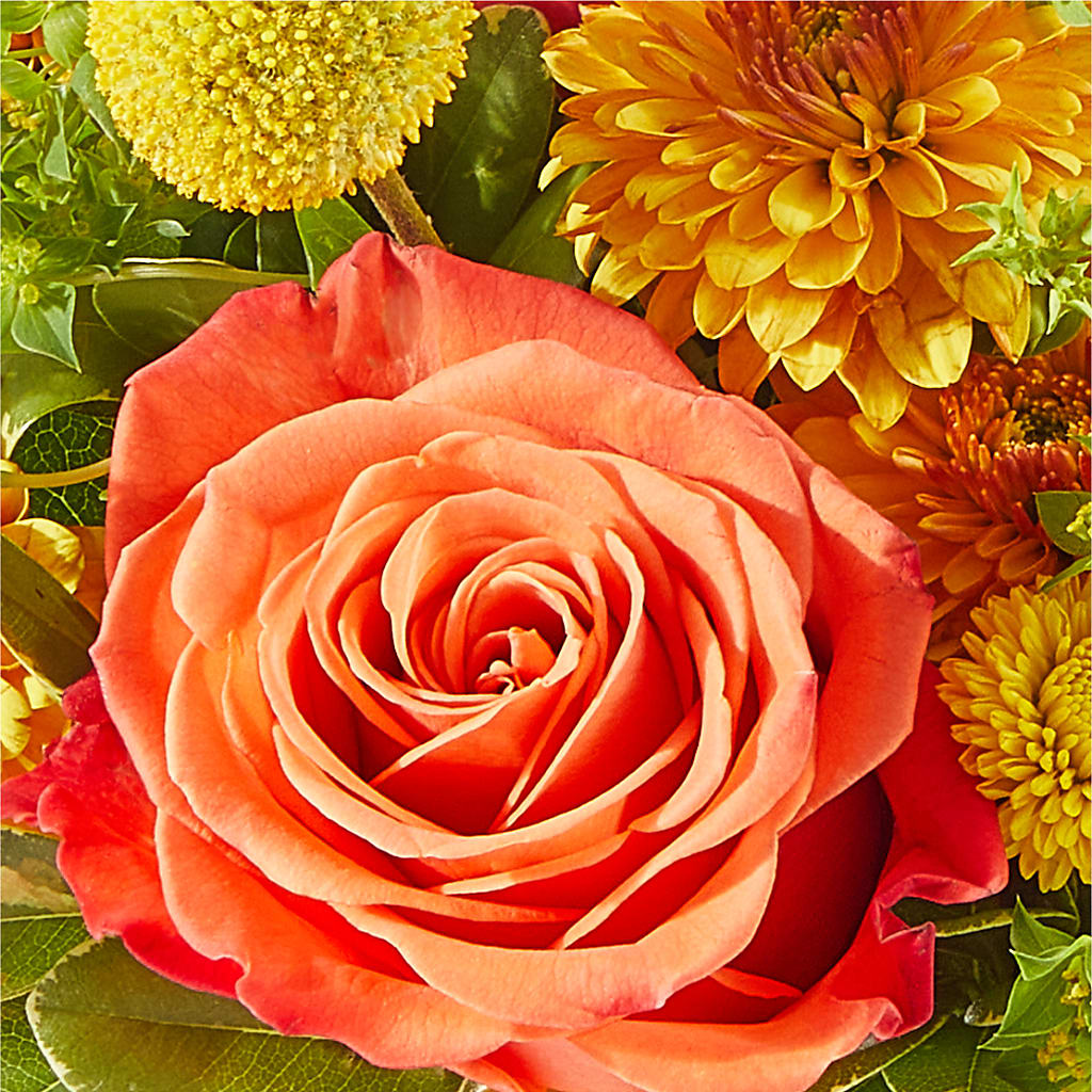 Gourdgeous Pumpkin –  212 Floral, New York NY