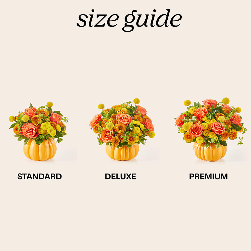 Gourdgeous Pumpkin –  212 Floral, New York NY