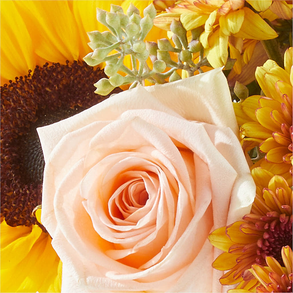 Pumpkin to Talk About Bouquet –  212 Floral, New York NY