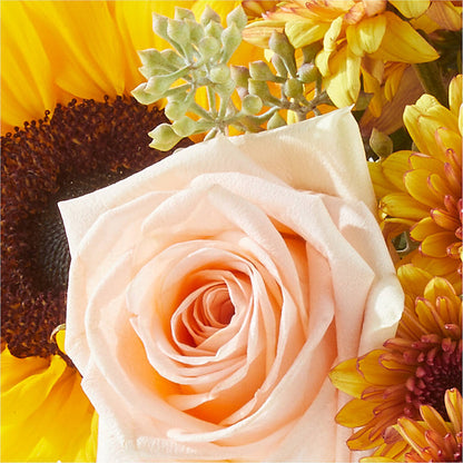 Pumpkin to Talk About Bouquet –  212 Floral, New York NY