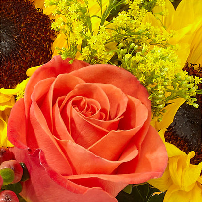 Pick of the Patch Pumpkin Bouquet –  212 Floral, New York NY