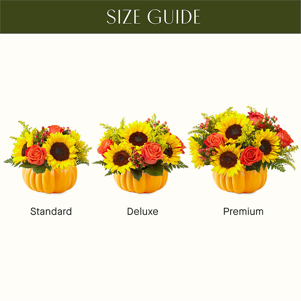 Pick of the Patch Pumpkin Bouquet –  212 Floral, New York NY