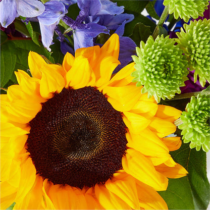 Catching Rays Bouquet –  212 Floral, New York NY