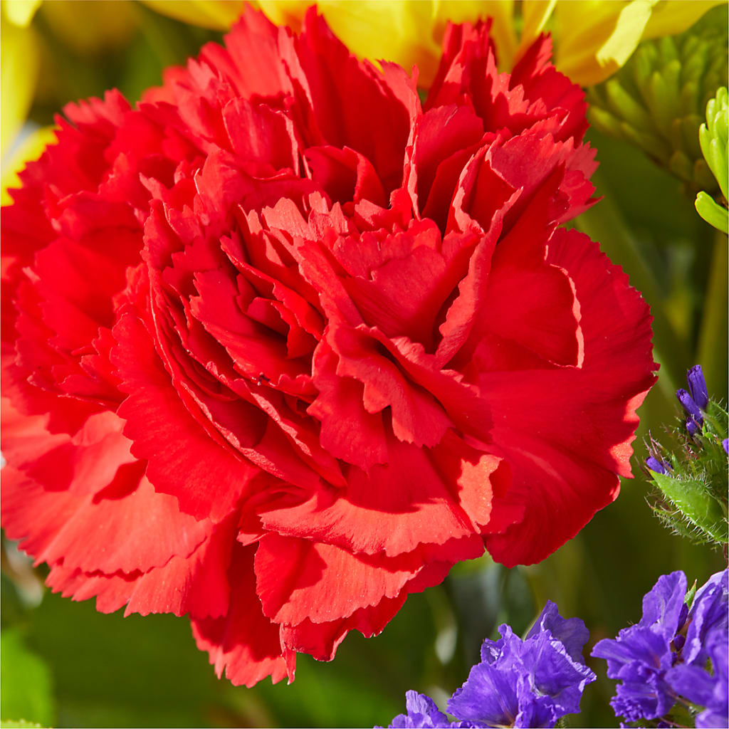 Brighter Days Bouquet –  212 Floral, New York NY