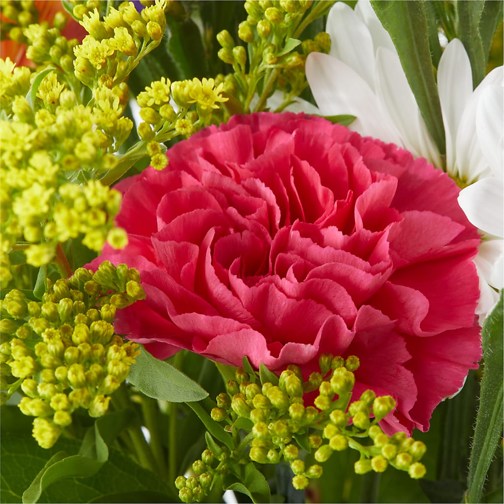 Oopsie Daisy Bouquet –  212 Floral, New York NY