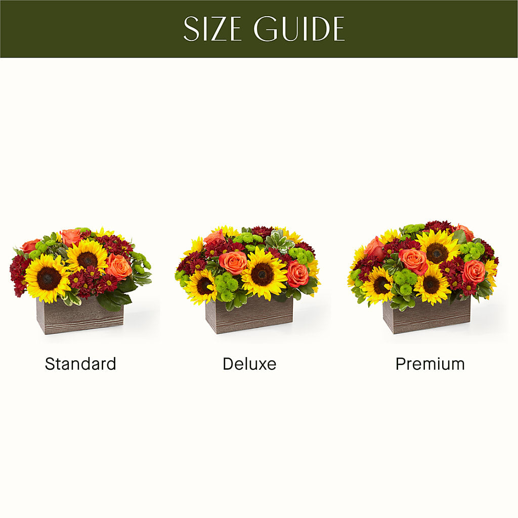 Happy Harvest Garden –  212 Floral, New York NY