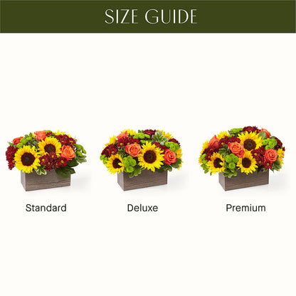 Happy Harvest Garden –  212 Floral, New York NY