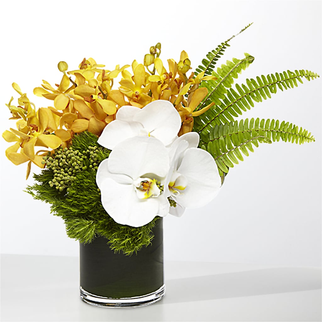 The Tropics –  212 Floral, New York NY