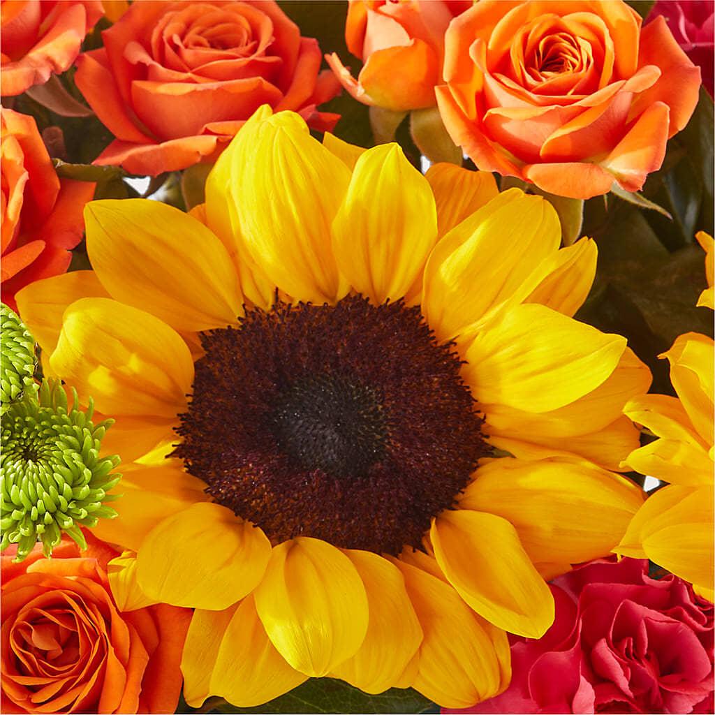 Sun-drenched Blooms Box Bouquet –  212 Floral, New York NY