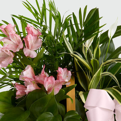 Living Spirit Dishgarden –  212 Floral, New York NY