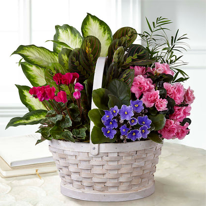 Peaceful Garden Planter –  212 Floral, New York NY